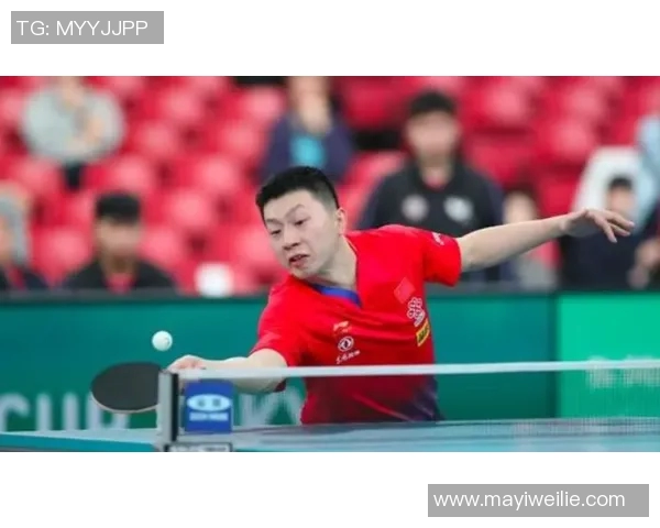 南京乒乓球队逆袭之路的真实记录与奋斗精神的展现 南京乒乓球队逆袭之路的真实记录与奋斗精神的展现