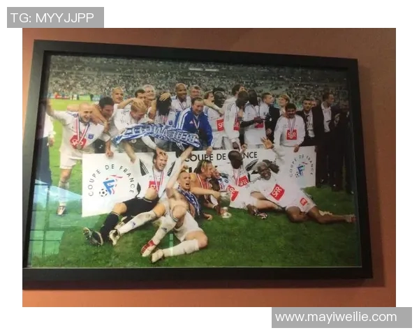 维族足球明星全景盘点及其辉煌成就与影响力分析